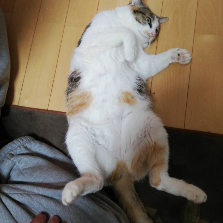 199d0a1a 1450 4c67 a09e 02a009fa67a7 1609497715464