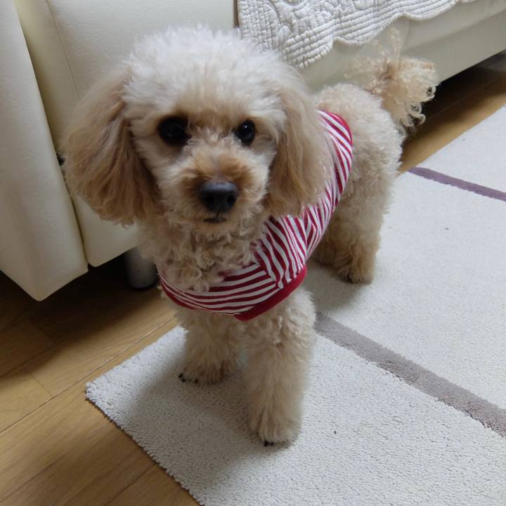 199d0d00 ad5c 4dcd 9950 a5b15cd04845 1638703852710