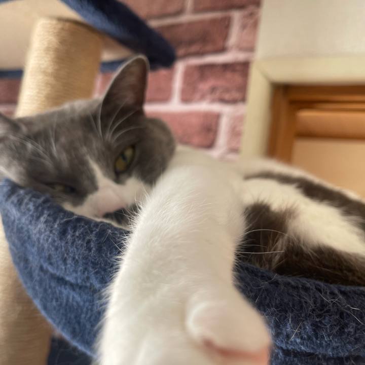 199d29e3 d78b 4c1e 908d 307d9dd0b8ba 1673312640312