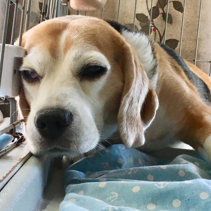 199d85fb d7a4 4795 a334 352dda9a9901 1535243196470