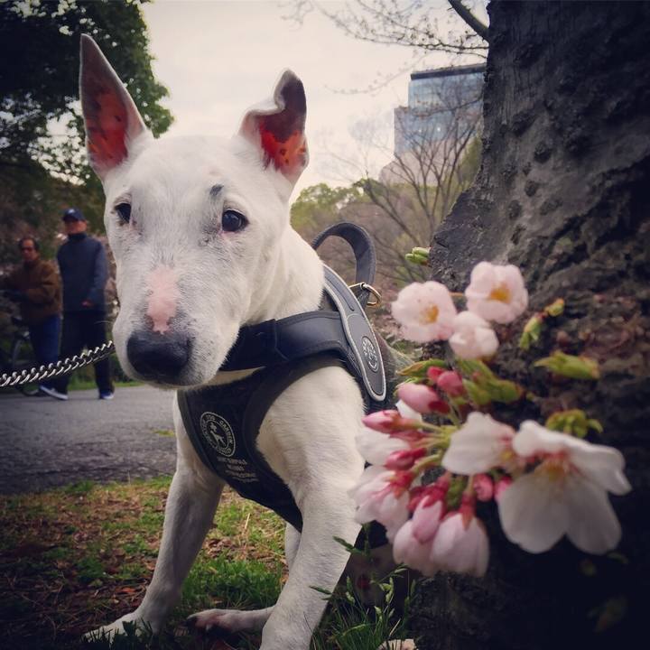 199d9706 2b3f 4d68 9cd9 23f23210c96f 1521870478495