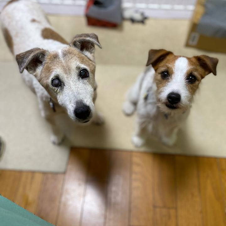 199dc133 2643 4590 82f5 cbe3e2c8d61b 1686776924560