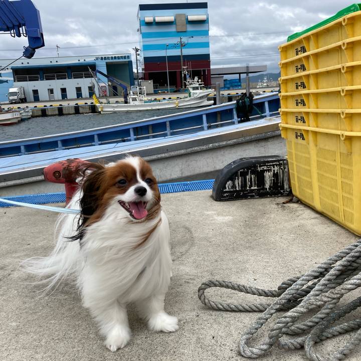 199dd002 6484 4f93 950e 7394fb0ecf44 1657954547665