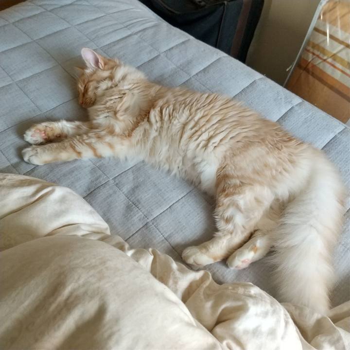 199de175 490e 43ff a4c3 d55e6c00fa2e 1619916759754