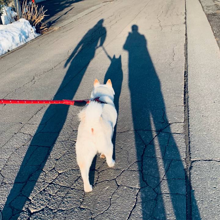 199dec56 3f9d 421c 99a2 8640fa66b374 1679264161982