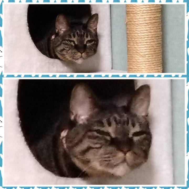 199dece7 fbbc 491a a429 84ed01091ccd 1771506902876