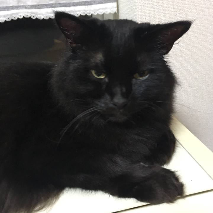 199dff6c b78b 4c1b 999e 7a56881a60d3 1532702724330