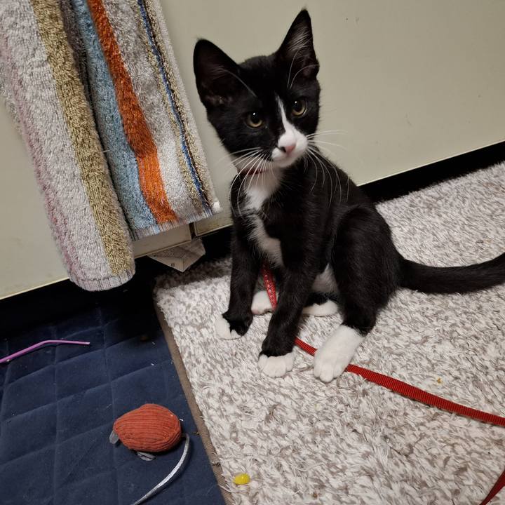 199e1dc9 0552 4f5e b8c2 3d081af1ef51 1752001796142