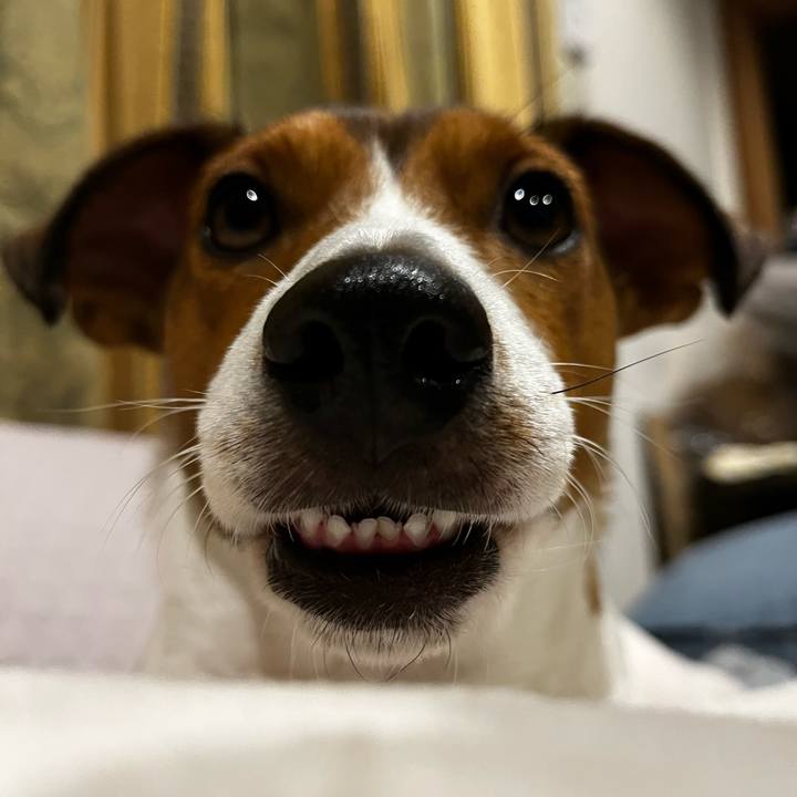 199e4839 33d5 4a3d 9a43 f6af4c746bac 1733399989767