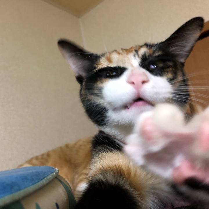 199e4a99 b3f3 4be5 a299 376b1da2a473 1552712403223