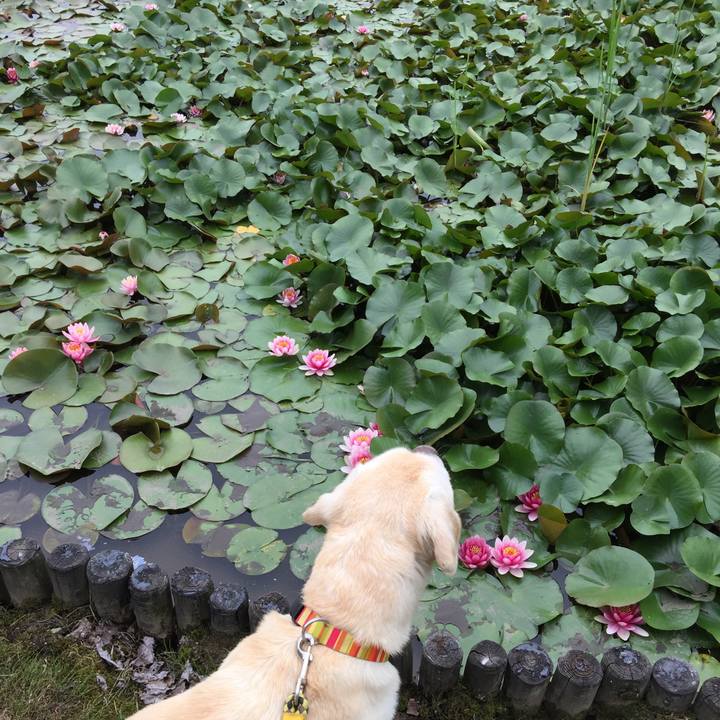 199e4ab1 7efc 43ca 95c9 58922f39a50d 1591487215990