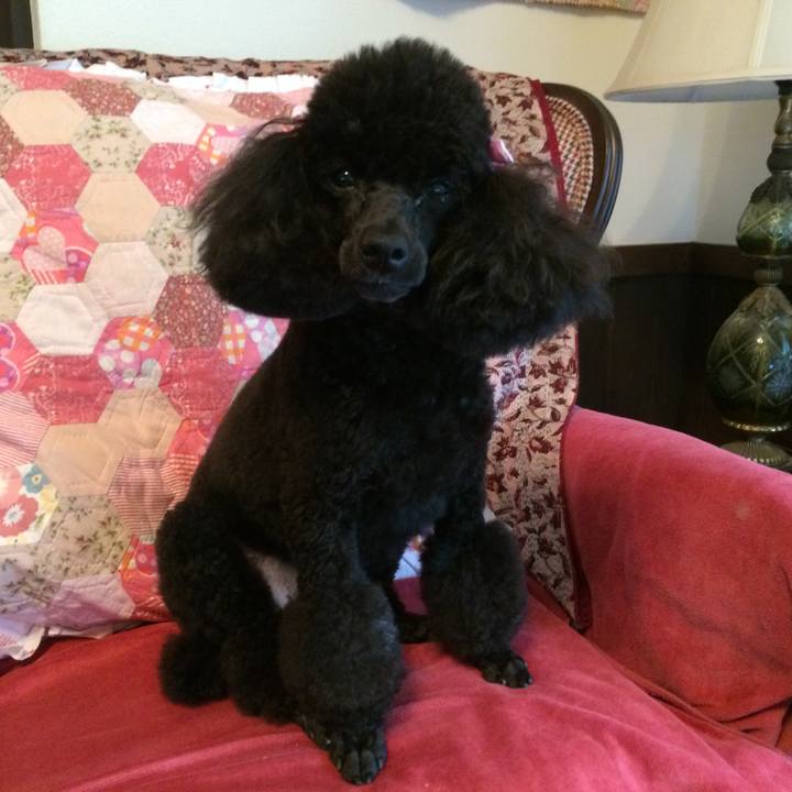 199e5bef ea96 4a7a 9285 671745553ddf 1559539520778