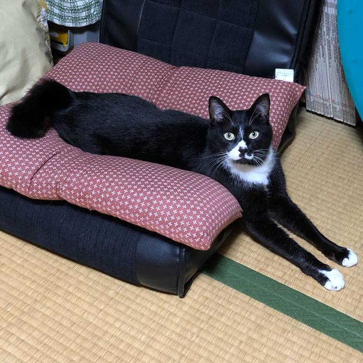 199ea57f 4823 45b4 b160 6c74b5b9ac24 1560915661556