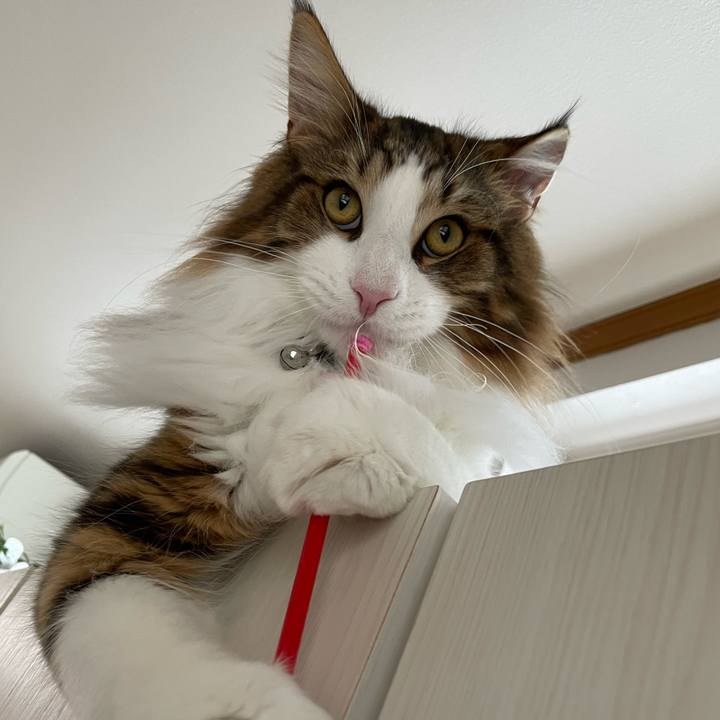 199ec075 fca0 4eb1 8040 ebf989de0b3e 1646344553178