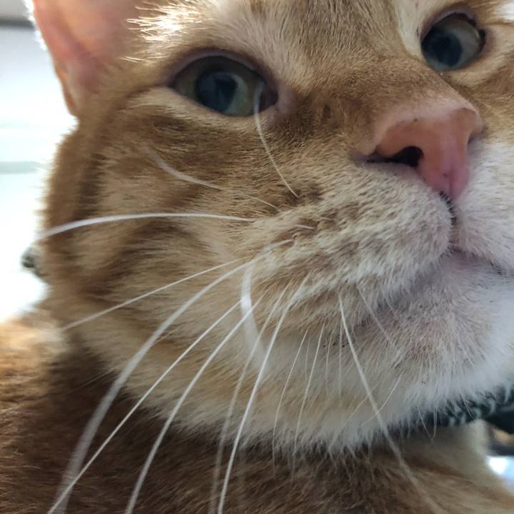 199ed019 6078 4f3e 8173 7cc49798b5c2 1581156177242