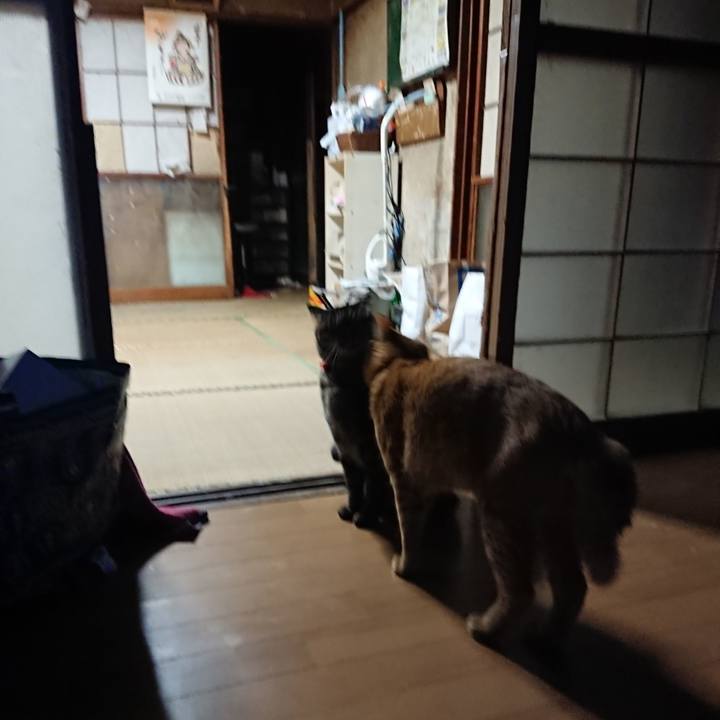 199ee0a3 4ef6 451c 93bf f91299d2c0f8 1662583678027