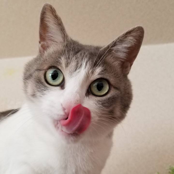 199ee209 175a 4a97 8864 4f5371b12c19 1546313675192