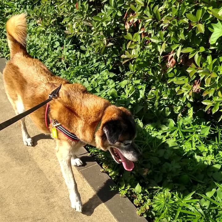 199f01cc d06d 43d3 a2e6 9ab5cfb68acd 1565134600126