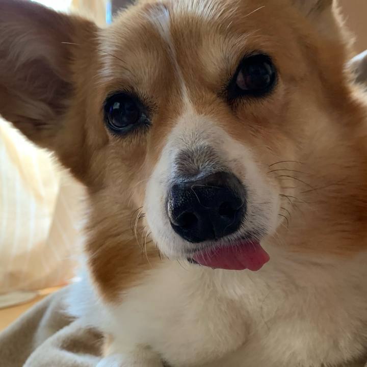 199f1e95 0a3e 4c41 9bf2 5891d68dc9f1 1615766062119