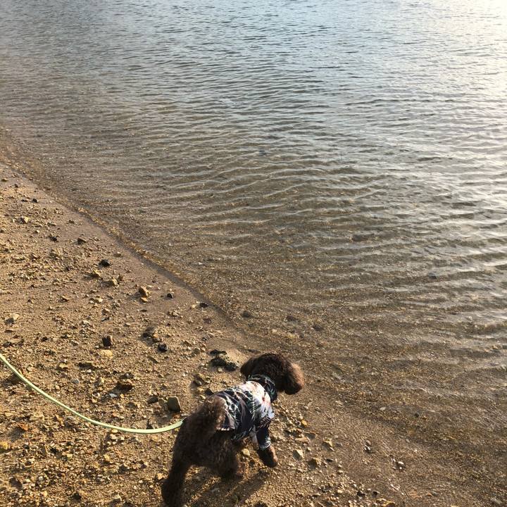 199f2085 5598 49b5 8a9b cbfdd7167309 1600688678777