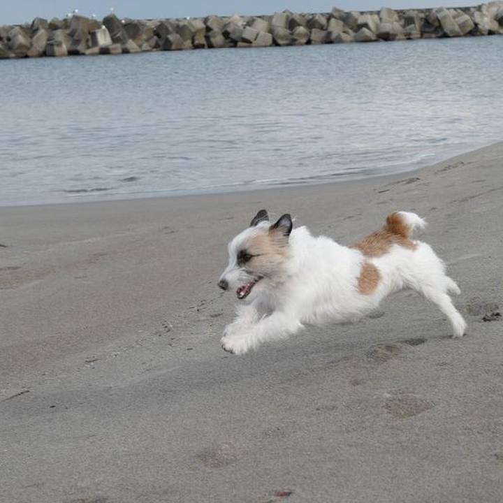 199f2a8b 5104 4a71 a030 79ea3189cef8 1552712543166