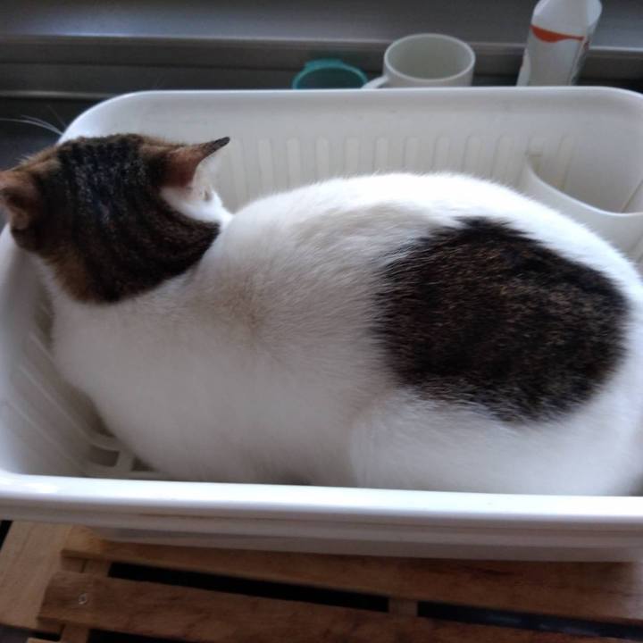 199f6edb 612f 44d7 986d aa00932925ce 1677581439977