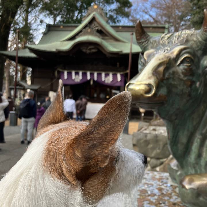 199f7701 b424 4db9 93e7 df7b0b730e28 1736726827820