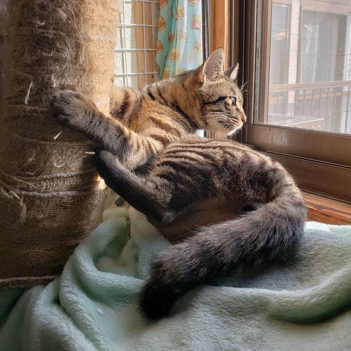 199fbada 0f75 49df a920 23ec18ed5f51 1547600227412