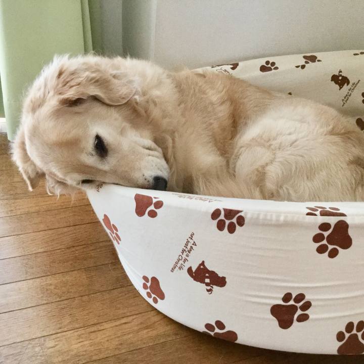 19a02d21 30c4 4264 afbf e36ba48ee5ac 1539557236165