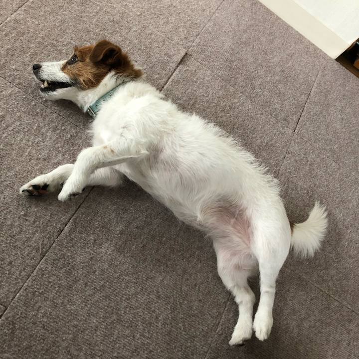 19a06070 e34b 4451 ae1a c3cf93c9804e 1560061248954