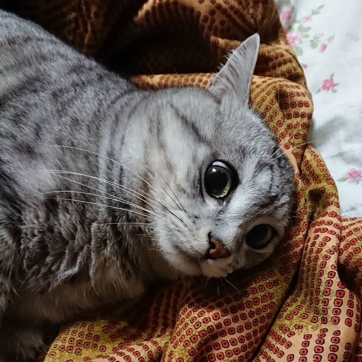 19a06e0b 2c9c 4244 9741 941fc04c1635 1575904986916