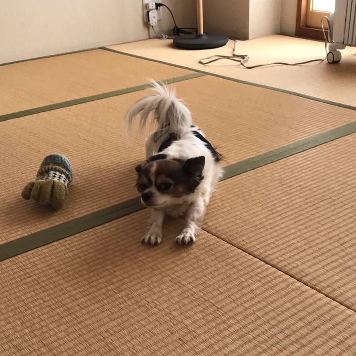 19a070df 69e7 4c77 917f be4080c8d764 1551506357090