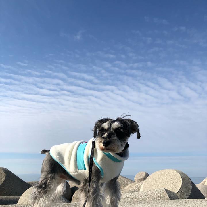 19a07373 c2d7 46d8 84d9 68f91d362e8b 1641459013640