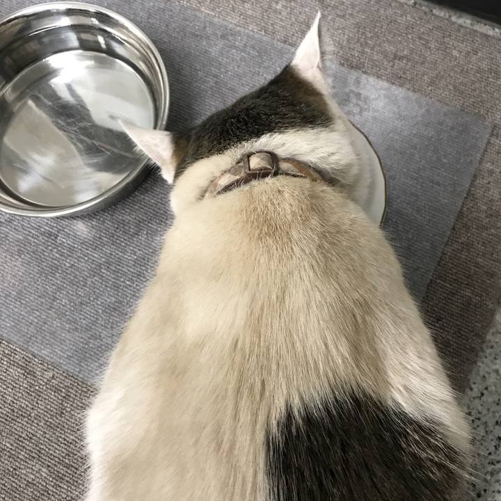 19a0f0ca 7fdf 471f be1f 9f639ca1a9e2 1519005706223