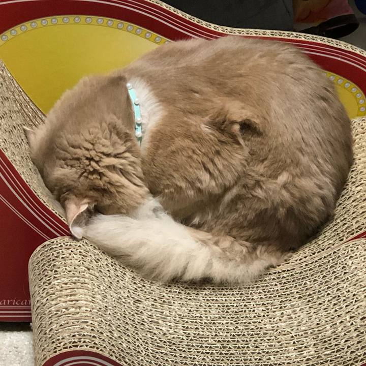 19a0f47c 316b 48eb a799 c1449007e3d7 1555037209082