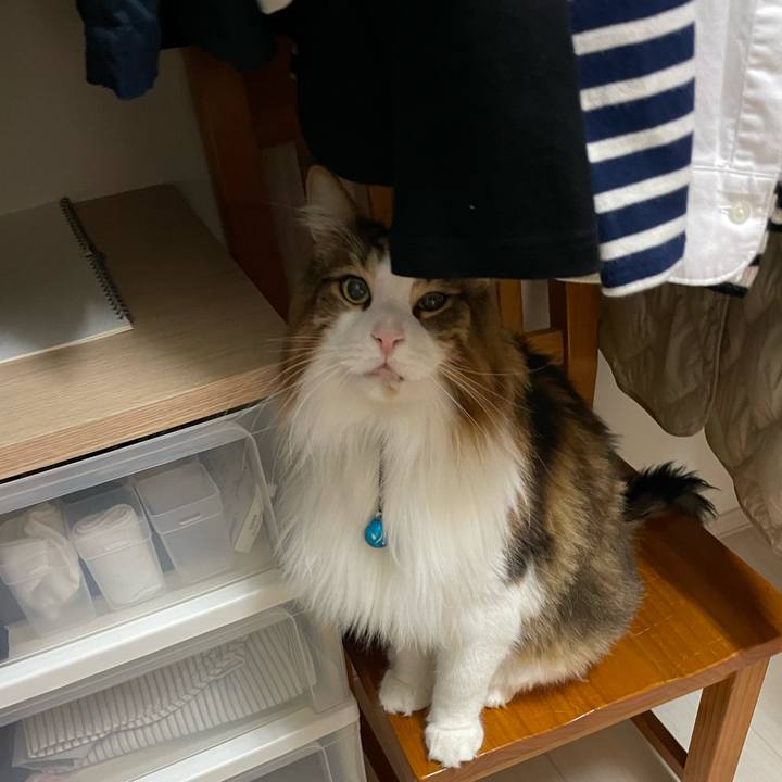 19a0fe05 96cd 438f b7b5 de19746cac0f 1729453905961