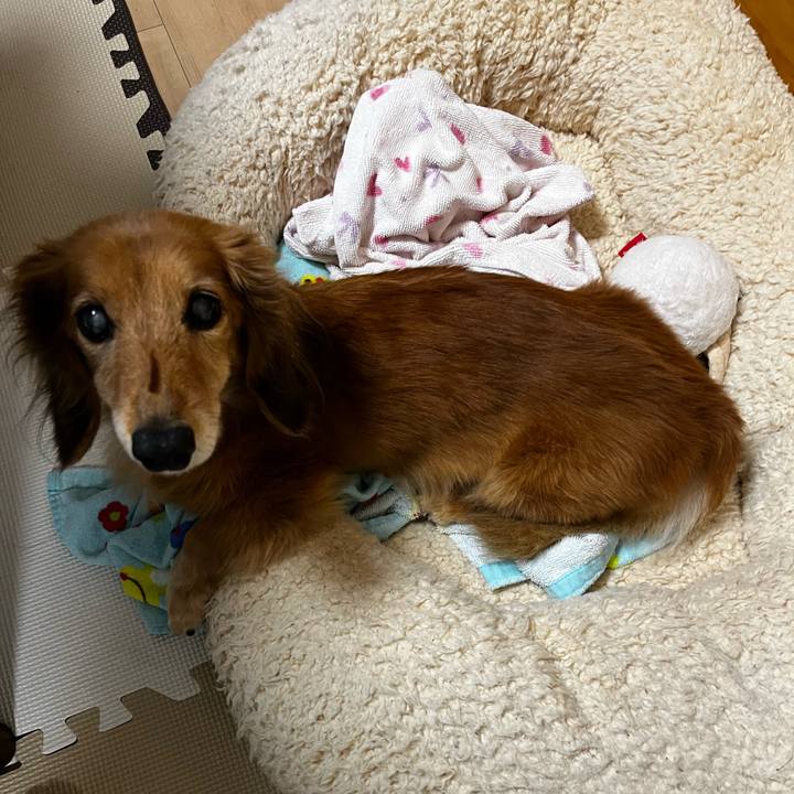 19a10bf6 de50 4971 b87d e024f3f52d34 1665406790806