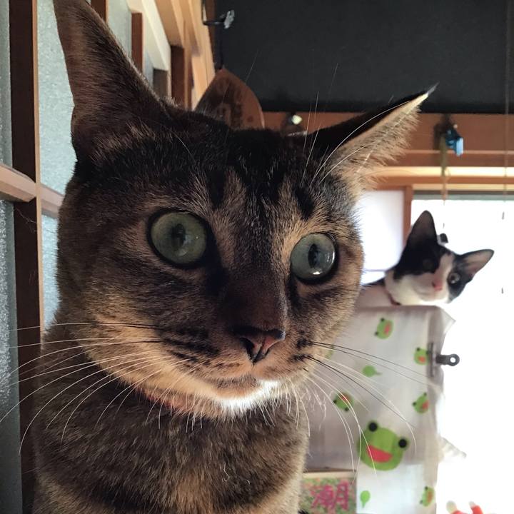 19a10c46 030b 4bd1 9e41 4e34197d8c9f 1630291471127