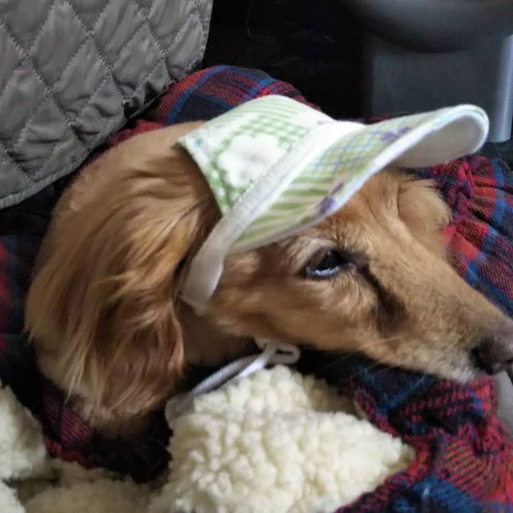 19a1ac2a 7250 4138 83a6 7f1c658a9bc4 1622617144899