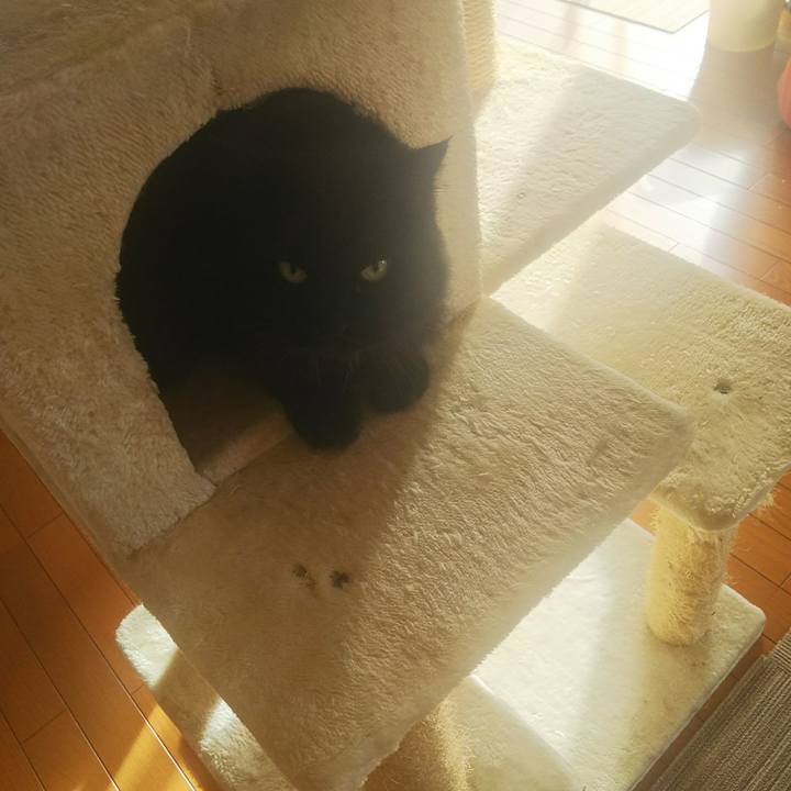 19a200a5 a0e7 4307 869f 368399e11fc6 1545701512927