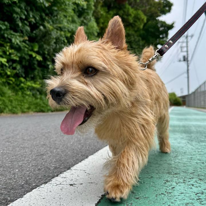 19a271be b0b9 454f b1f2 09d4981f251a 1749415735589