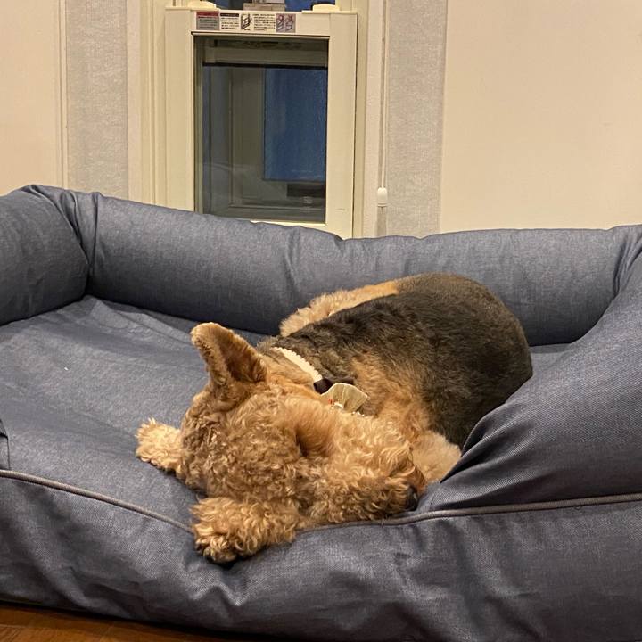 19a2883e 2150 41eb b679 498849ec6e04 1609562994439