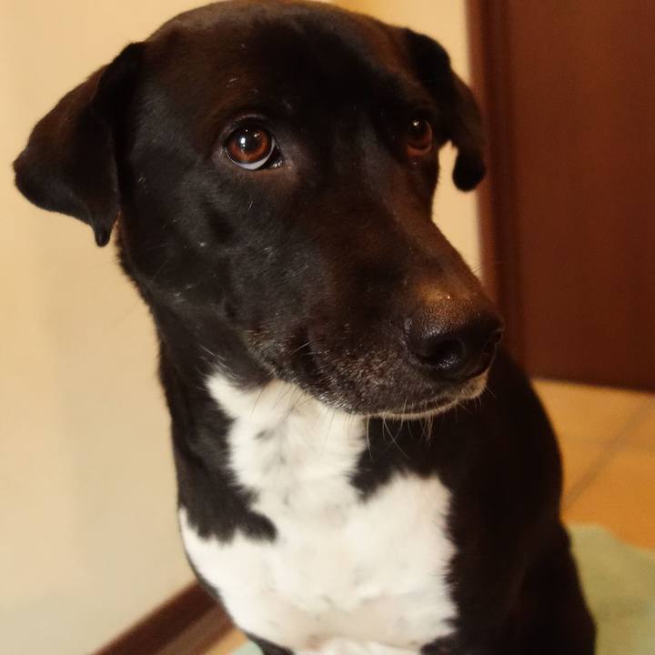 19a29455 f6ff 408b b27a 639ed2c29694 1610409768851