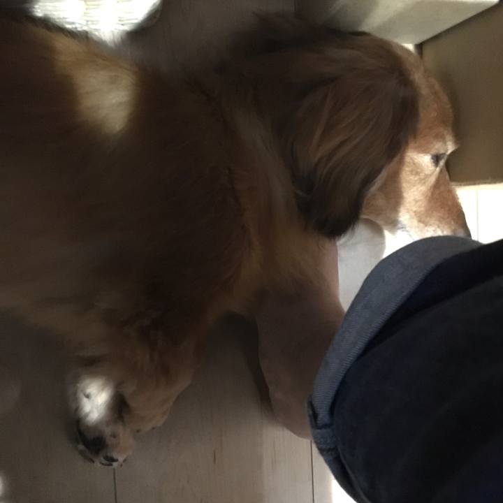 19a2bede a0be 446b 8139 736df7b90b00 1589886036130