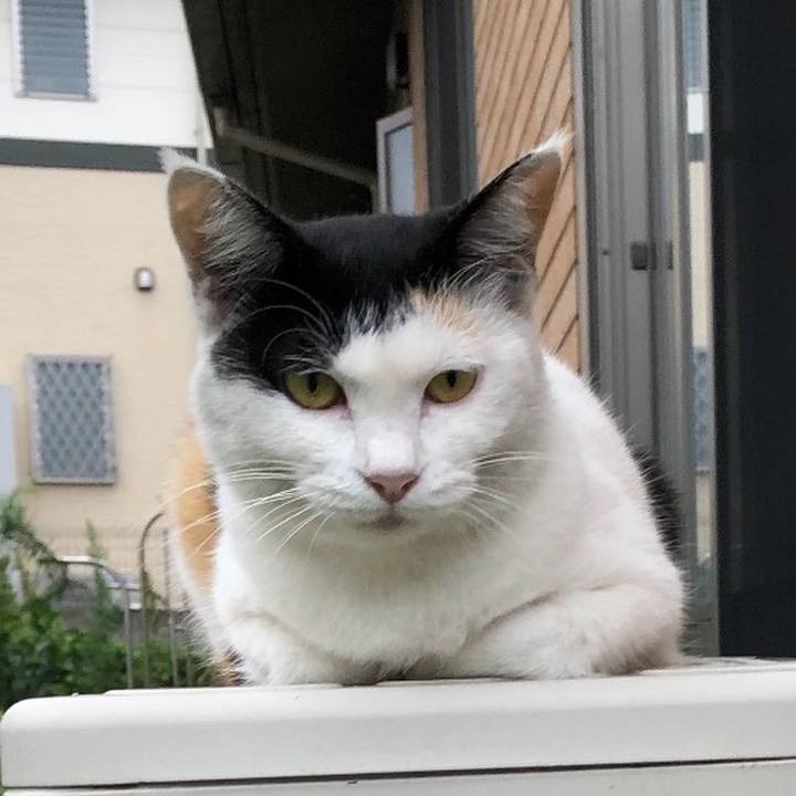 19a2c1ac 546b 45e9 87be ac186a6d94f4 1599905598296