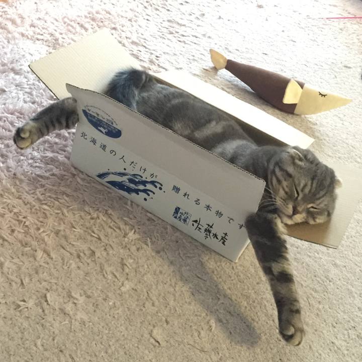 19a30bd1 904a 4115 830c 38a7895f37eb 1626687565221