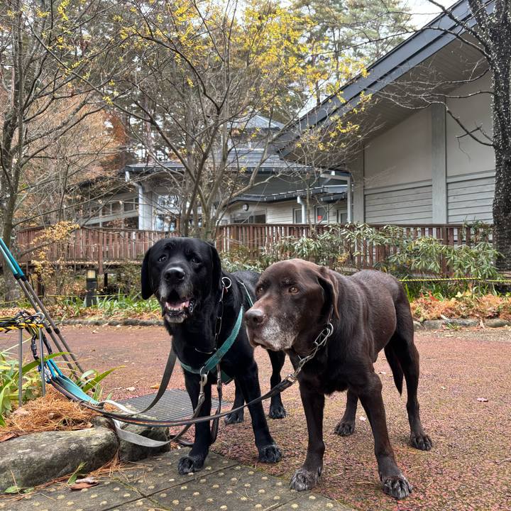 19a3218c 9b16 43b9 a449 6d73edc79851 1763807440093