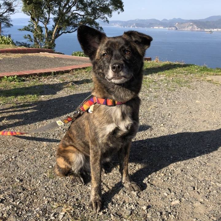 19a33c6a 7613 4134 a5b8 d3cb9c221a73 1513515293734