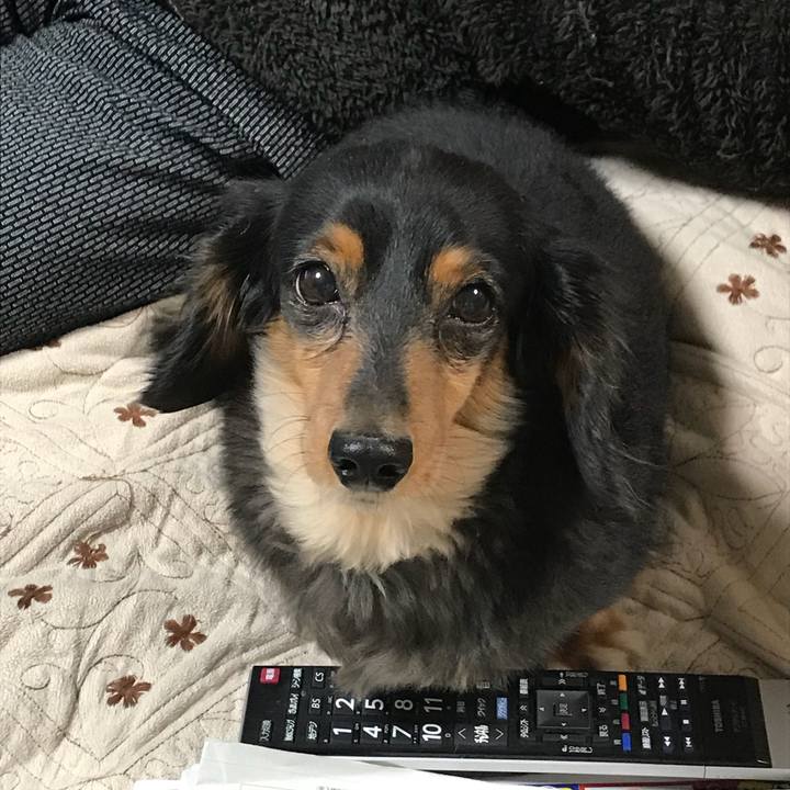 19a343a7 1423 4766 a034 b745c2762dbb 1512511711362