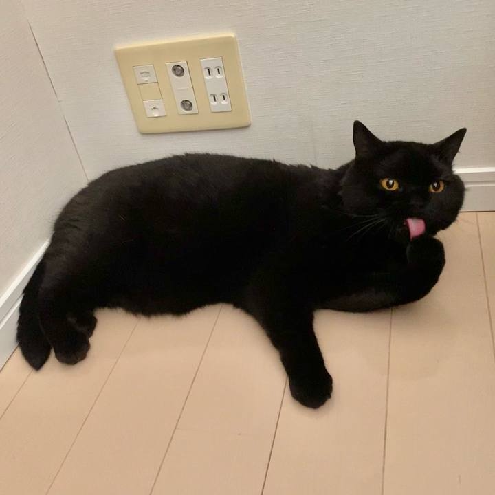 19a35d02 4ae0 4aff a231 5878a5170d37 1656488069412